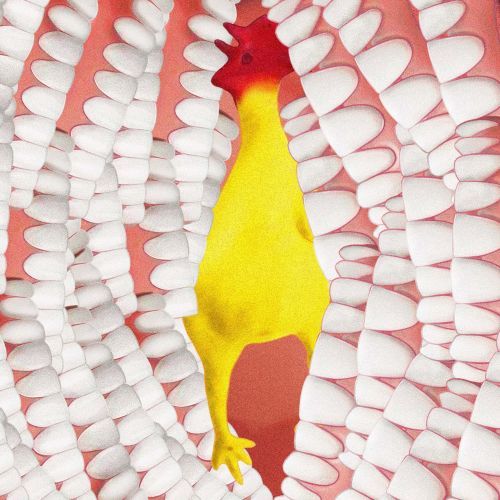 Bioregional architecture, 6G and lab-grown meat