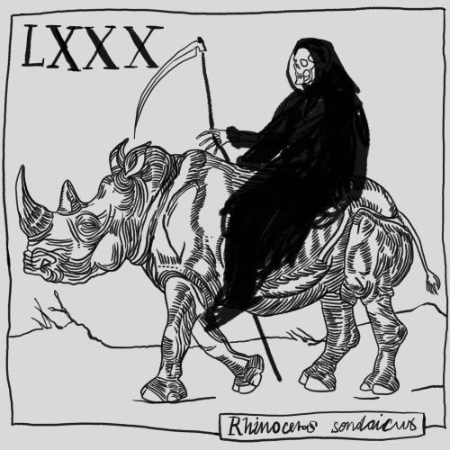 Gender and Pain, Prophetic Dreams and the Road Through Mauritania