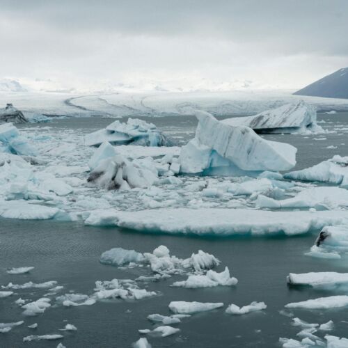 Falepili Union, chińska moda i guma arabska